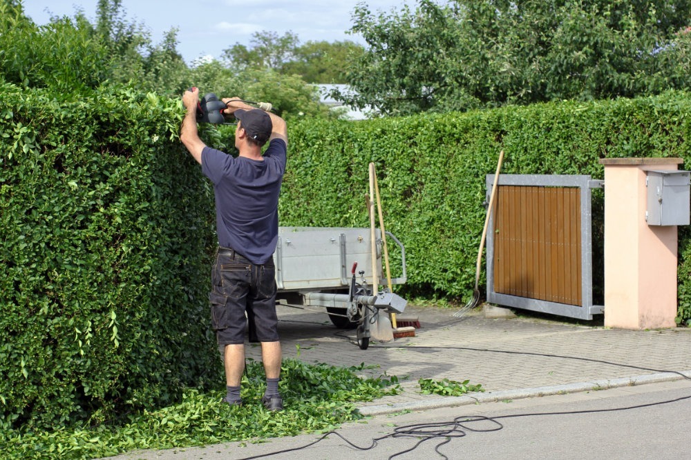 Grünpflege - saisonale Aufgabe der Objektpflege
